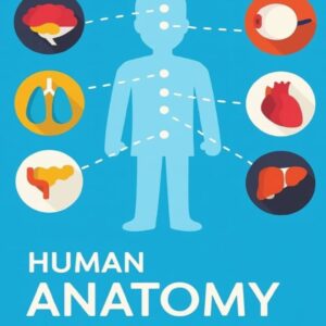Anatomy